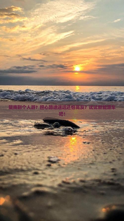 陇南到个人游？担心路途遥远还怕高反？试试新能源车吧！