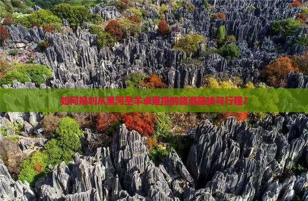 如何规划从黑河至羊卓雍措的旅游路线与行程？