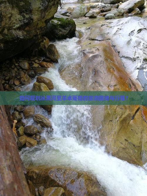 如何规划从黑河至羊卓雍措的旅游路线与行程？