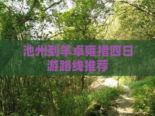 池州到羊卓雍措四日游路线推荐