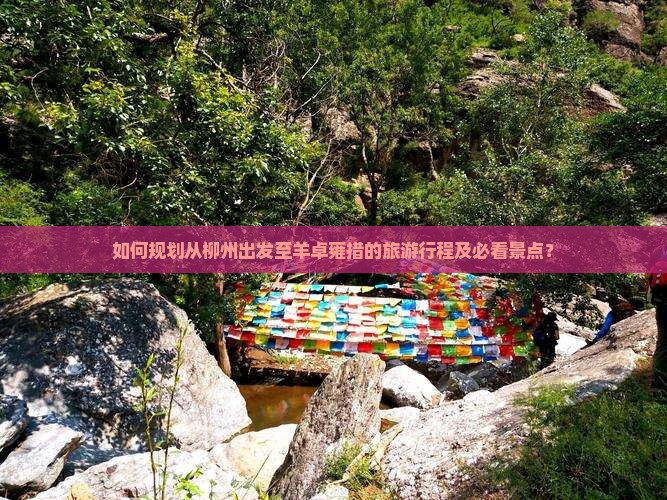 如何规划从柳州出发至羊卓雍措的旅游行程及必看景点？