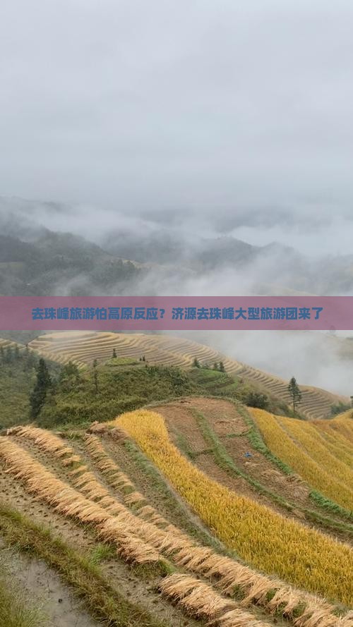 去珠峰旅游怕高原反应？济源去珠峰大型旅游团来了