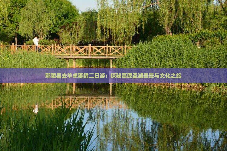 鄢陵县去羊卓雍措二日游：探秘高原圣湖美景与文化之旅