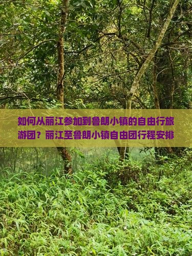 如何从丽江参加到鲁朗小镇的自由行旅游团？丽江至鲁朗小镇自由团行程安排及预订攻略？