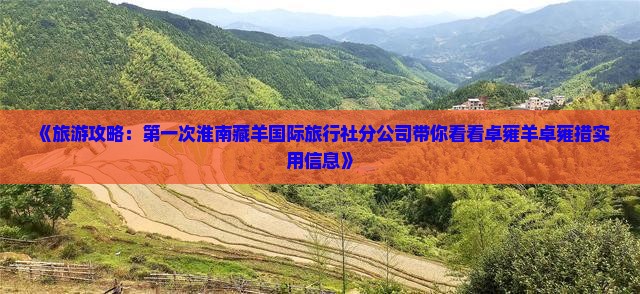 《旅游攻略：第一次淮南藏羊国际旅行社分公司带你看看卓雍羊卓雍措实用信息》