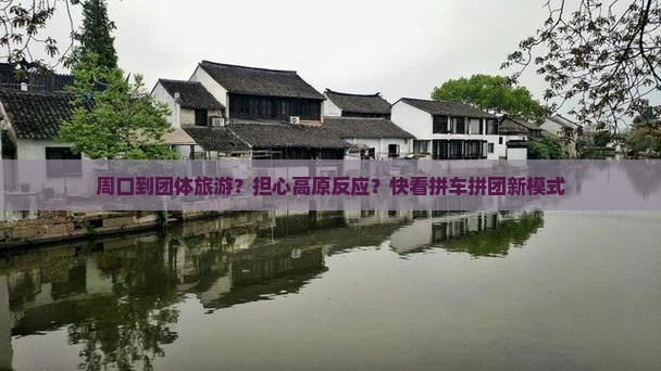 周口到团体旅游？担心高原反应？快看拼车拼团新模式
