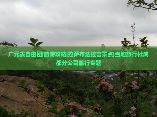 广元去自由团|旅游攻略|拉萨布达拉宫景点|当地旅行社成都分公司旅行专题