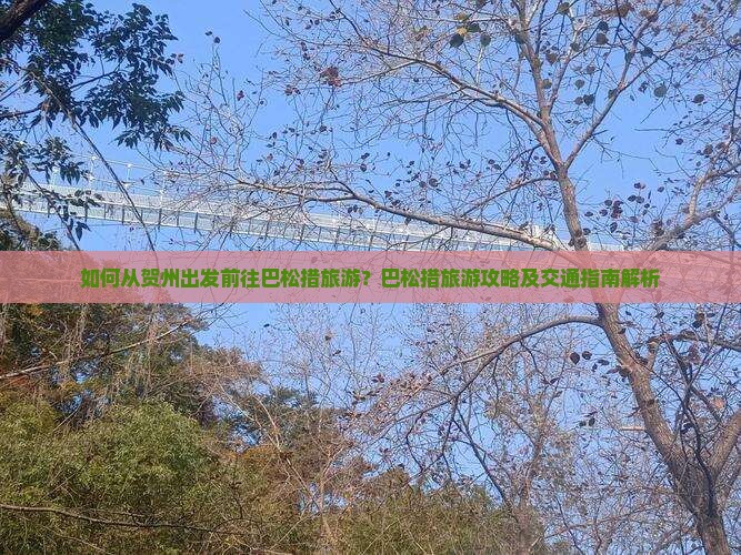如何从贺州出发前往巴松措旅游？巴松措旅游攻略及交通指南解析