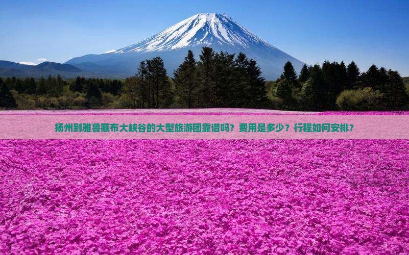 扬州到雅鲁藏布大峡谷的大型旅游团靠谱吗？费用是多少？行程如何安排？