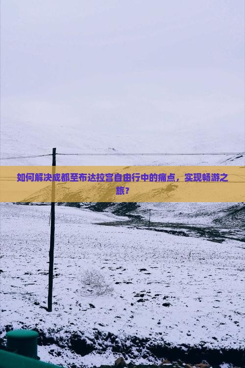 如何解决成都至布达拉宫自由行中的痛点，实现畅游之旅？
