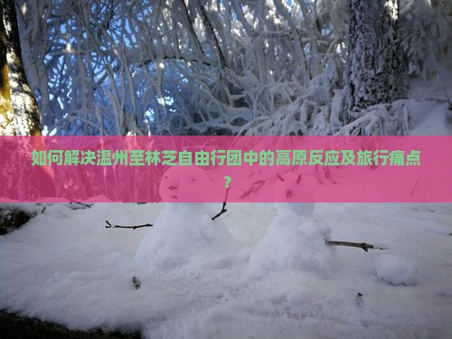 如何解决温州至林芝自由行团中的高原反应及旅行痛点？