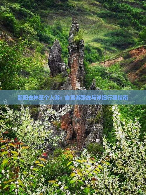 邵阳去林芝个人游：自驾游路线与详细行程指南
