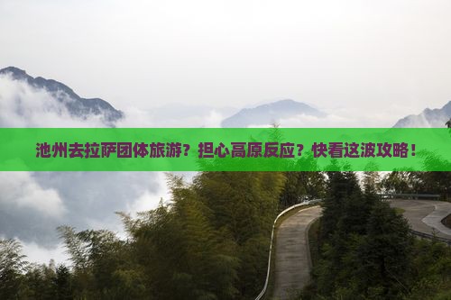池州去拉萨团体旅游？担心高原反应？快看这波攻略！