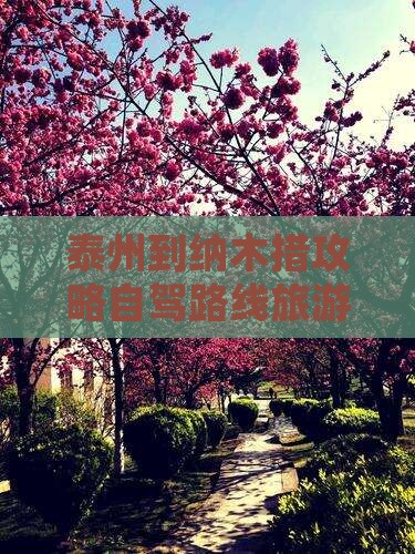 泰州到纳木措攻略自驾路线旅游需几天