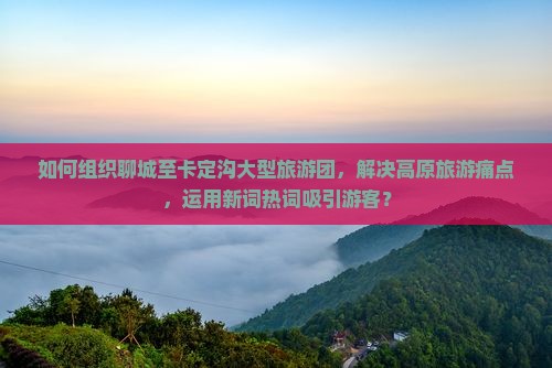 如何组织聊城至卡定沟大型旅游团，解决高原旅游痛点，运用新词热词吸引游客？