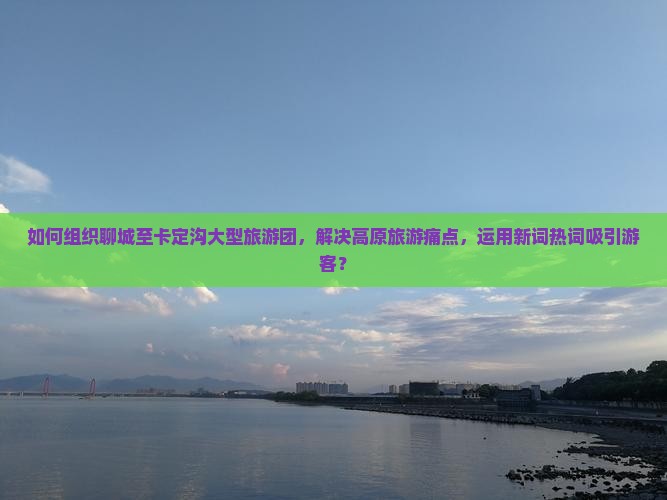 如何组织聊城至卡定沟大型旅游团，解决高原旅游痛点，运用新词热词吸引游客？