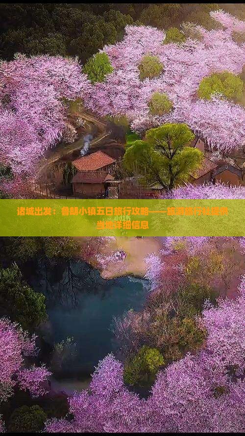 诸城出发：鲁朗小镇五日旅行攻略——旅游旅行社提供当地详细信息