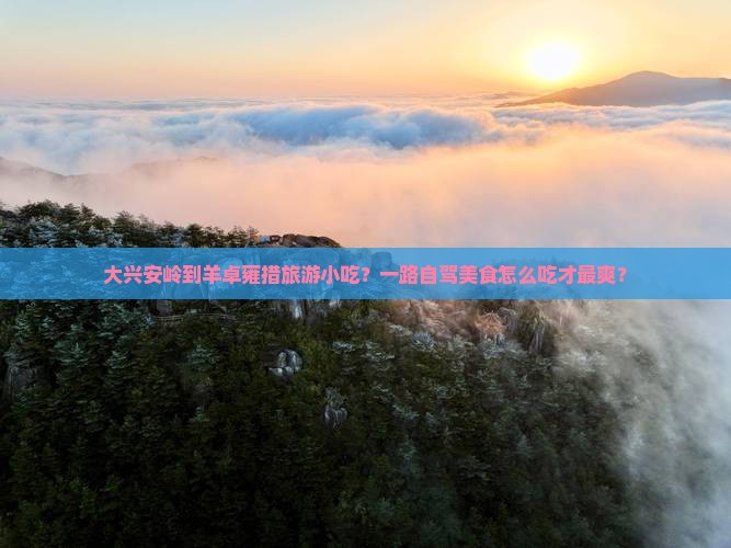 大兴安岭到羊卓雍措旅游小吃？一路自驾美食怎么吃才最爽？