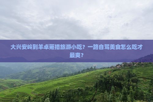 大兴安岭到羊卓雍措旅游小吃？一路自驾美食怎么吃才最爽？
