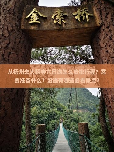 从梧州去大昭寺六日游怎么安排行程？需要准备什么？沿途有哪些必看景点？