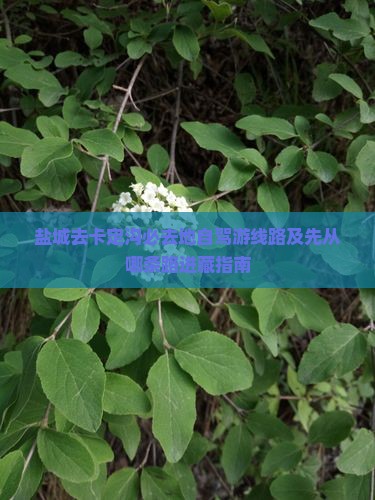 盐城去卡定沟必去地自驾游线路及先从哪条路进藏指南
