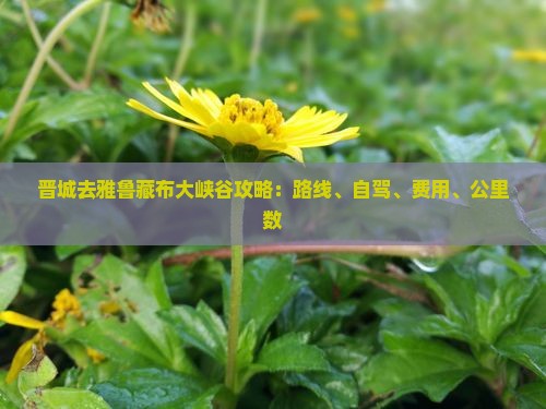 晋城去雅鲁藏布大峡谷攻略：路线、自驾、费用、公里数