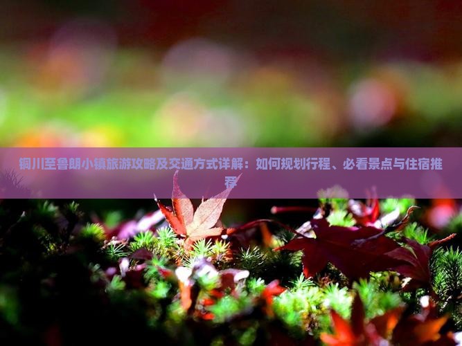 铜川至鲁朗小镇旅游攻略及交通方式详解：如何规划行程、必看景点与住宿推荐