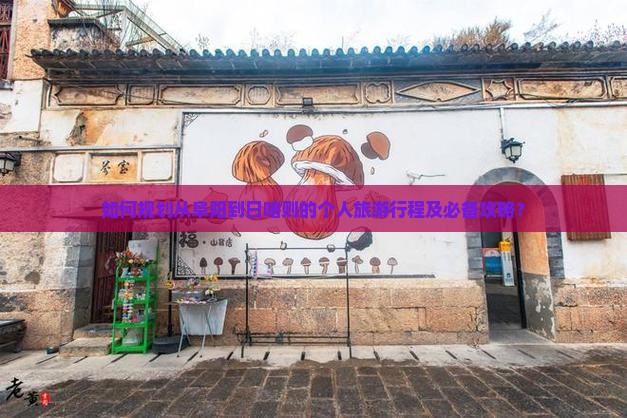 如何规划从阜阳到日喀则的个人旅游行程及必备攻略？