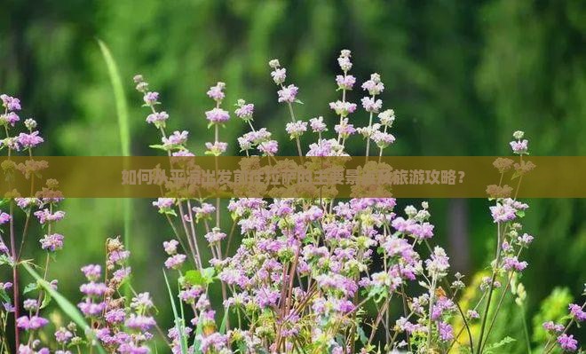 如何从平凉出发前往拉萨的主要景点及旅游攻略？