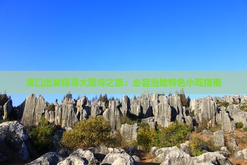 海口出发探寻大昭寺之旅：必尝当地特色小吃指南