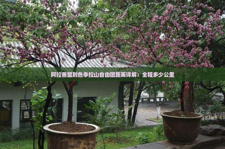 阿拉善盟到色季拉山自由团距离详解：全程多少公里