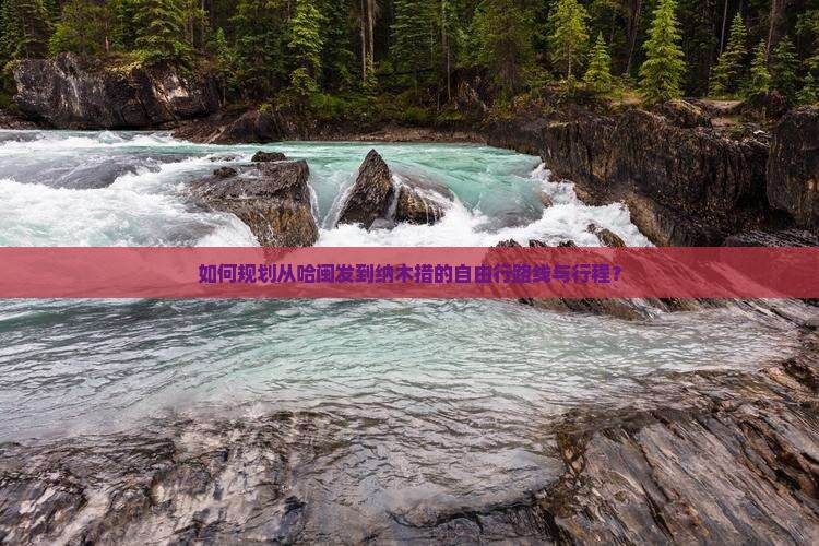 如何规划从哈闽发到纳木措的自由行路线与行程？