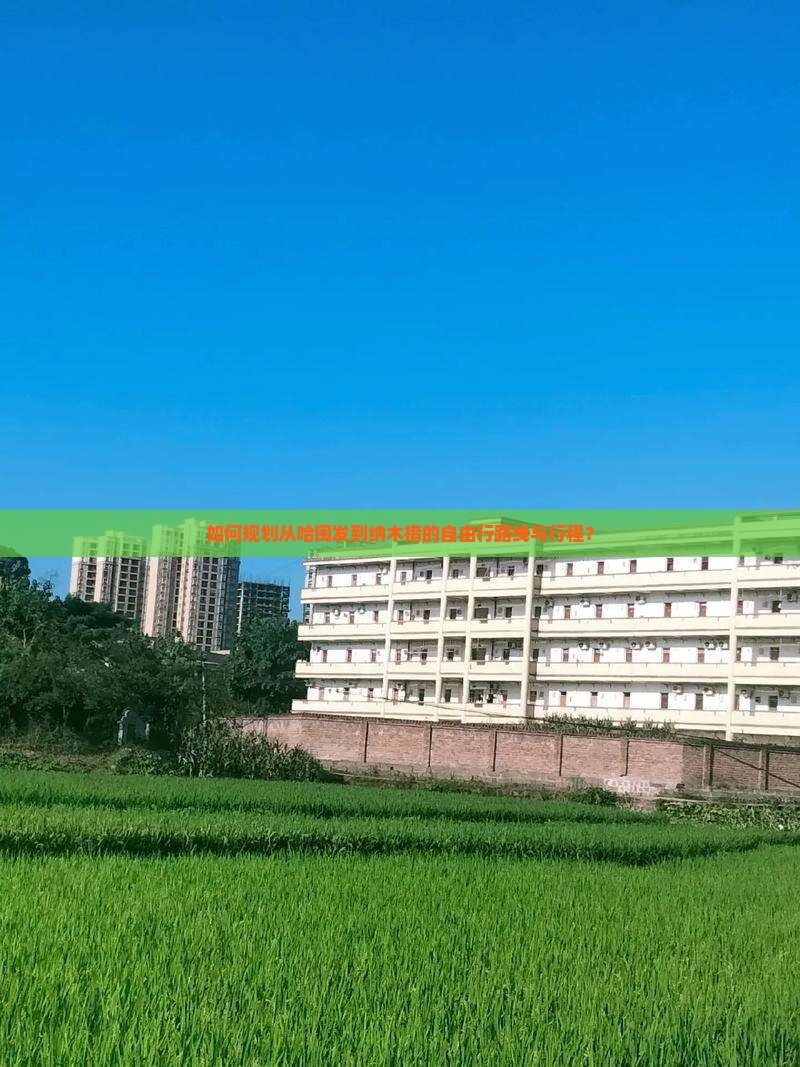 如何规划从哈闽发到纳木措的自由行路线与行程？