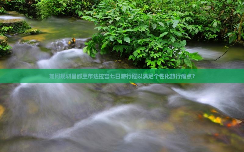 如何规划昌都至布达拉宫七日游行程以满足个性化旅行痛点？