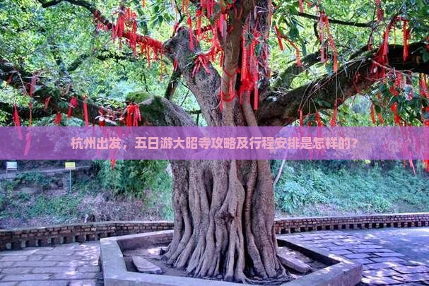 杭州出发，五日游大昭寺攻略及行程安排是怎样的？