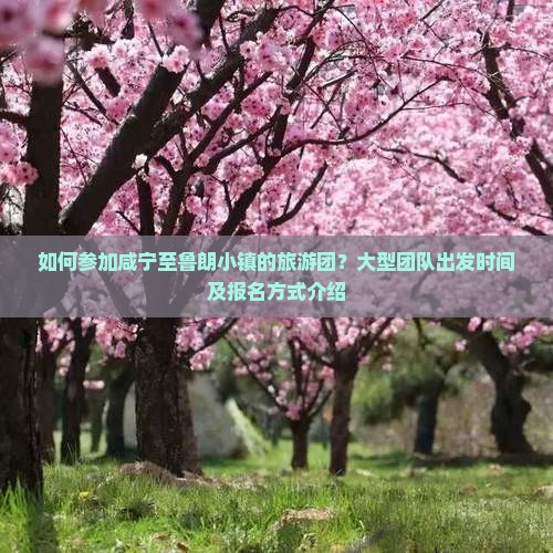 如何参加咸宁至鲁朗小镇的旅游团？大型团队出发时间及报名方式介绍