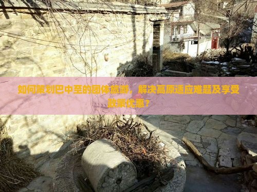 如何策划巴中至的团体旅游，解决高原适应难题及享受政策优惠？