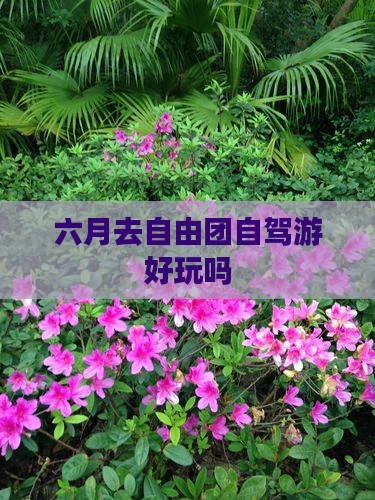 六月去自由团自驾游好玩吗
