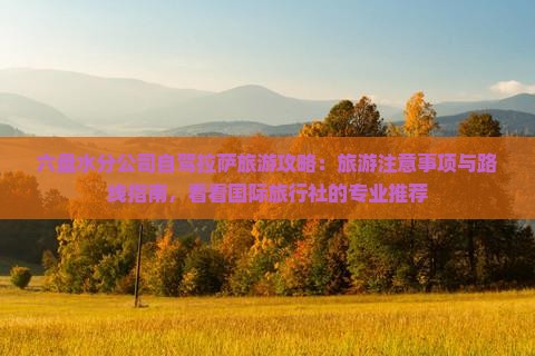 六盘水分公司自驾拉萨旅游攻略：旅游注意事项与路线指南，看看国际旅行社的专业推荐