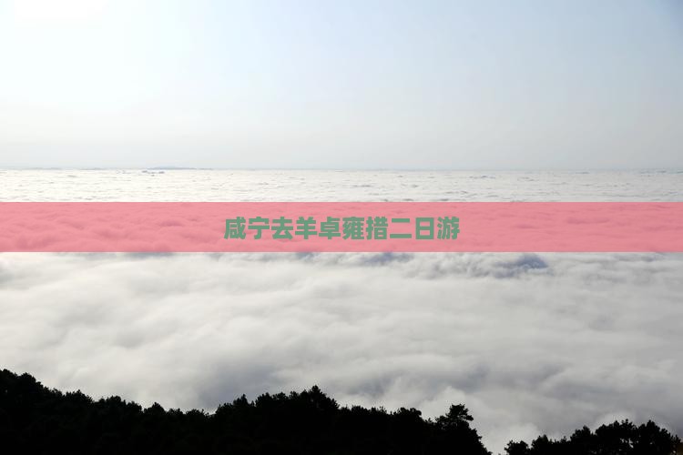咸宁去羊卓雍措二日游