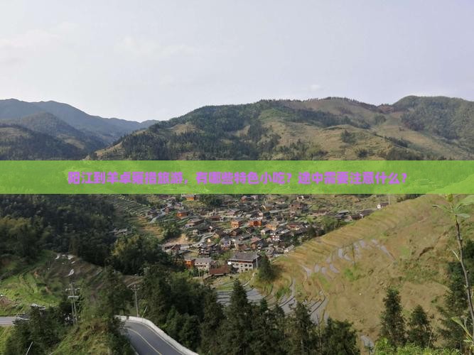 阳江到羊卓雍措旅游，有哪些特色小吃？途中需要注意什么？