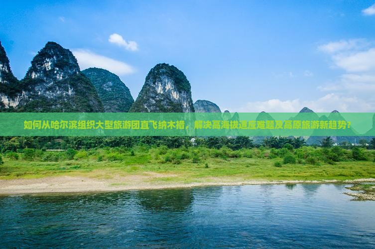 如何从哈尔滨组织大型旅游团直飞纳木措，解决高海拔适应难题及高原旅游新趋势？
