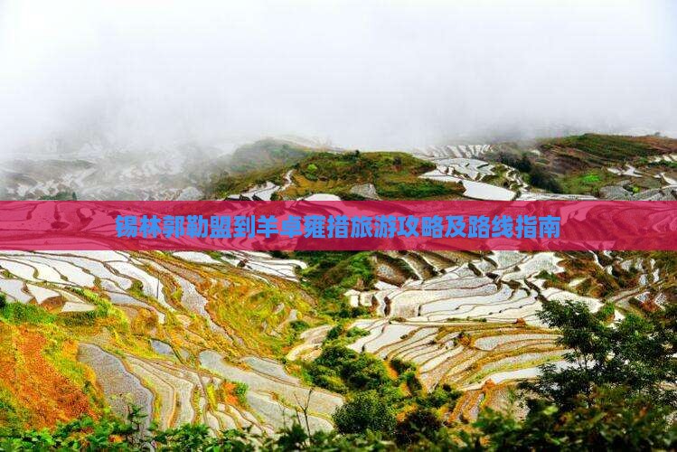 锡林郭勒盟到羊卓雍措旅游攻略及路线指南