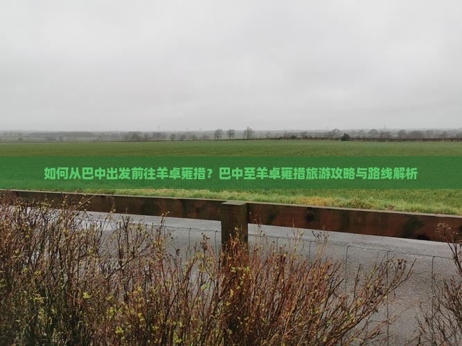 如何从巴中出发前往羊卓雍措？巴中至羊卓雍措旅游攻略与路线解析