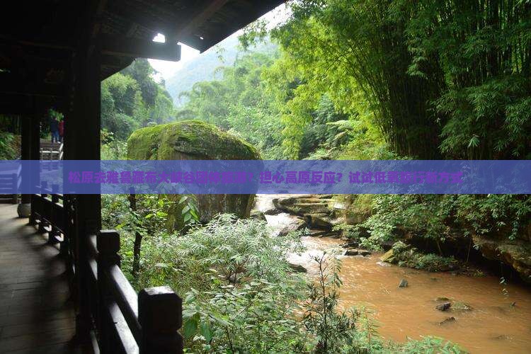 松原去雅鲁藏布大峡谷团体旅游？担心高原反应？试试低氧旅行新方式