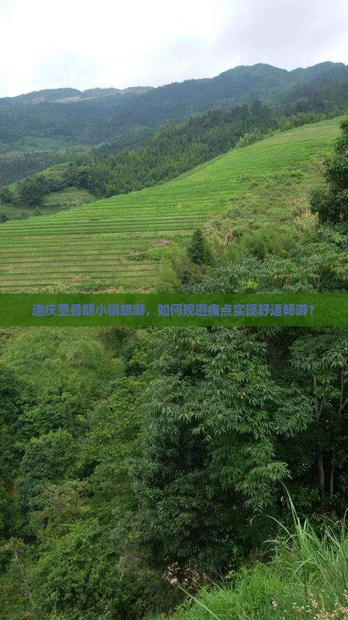 迪庆至鲁朗小镇旅游，如何规避痛点实现舒适畅游？