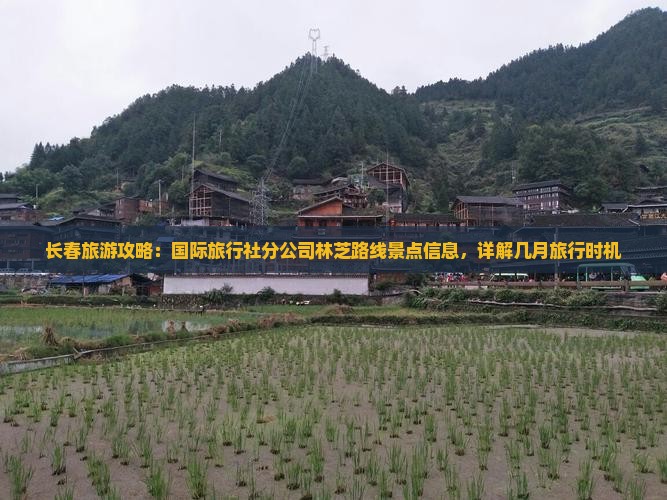 长春旅游攻略：国际旅行社分公司林芝路线景点信息，详解几月旅行时机