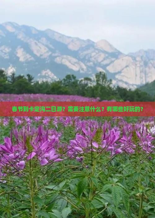 春节到卡定沟二日游？需要注意什么？有哪些好玩的？