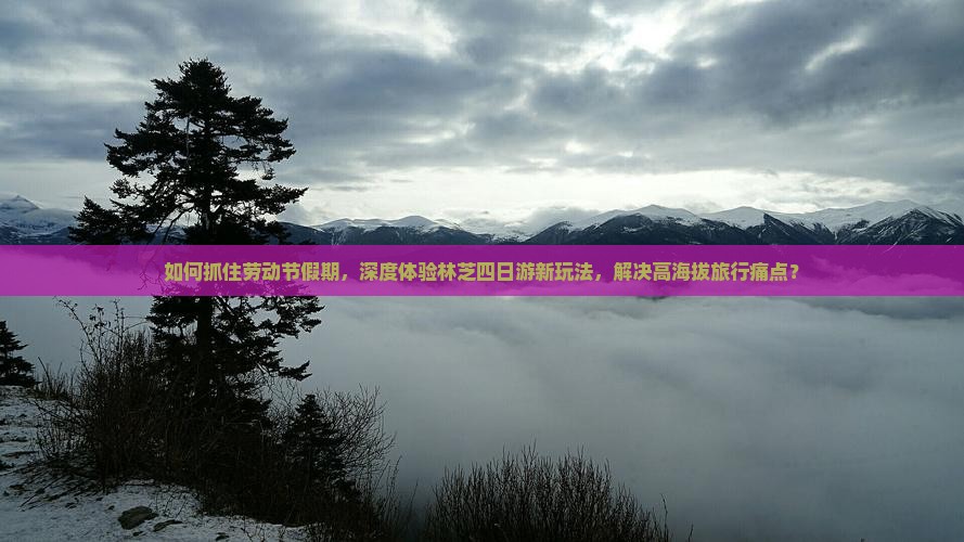 如何抓住劳动节假期，深度体验林芝四日游新玩法，解决高海拔旅行痛点？