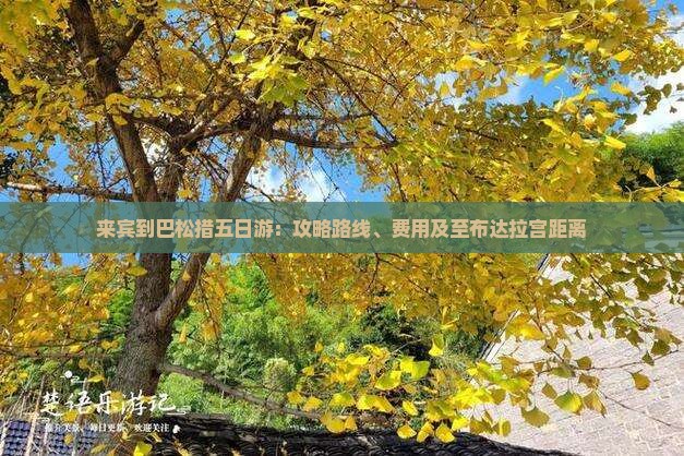 来宾到巴松措五日游：攻略路线、费用及至布达拉宫距离